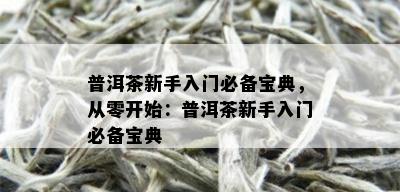 普洱茶新手入门必备宝典，从零开始：普洱茶新手入门必备宝典