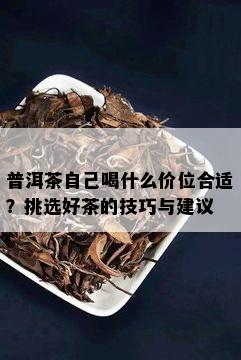 普洱茶自己喝什么价位合适？挑选好茶的技巧与建议