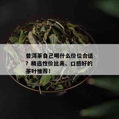 普洱茶自己喝什么价位合适？精选性价比高、口感好的茶叶推荐！