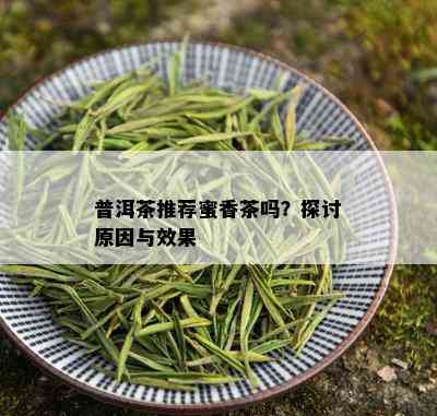 普洱茶推荐蜜香茶吗？探讨原因与效果