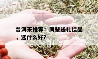 普洱茶推荐：同辈送礼佳品，选什么好？