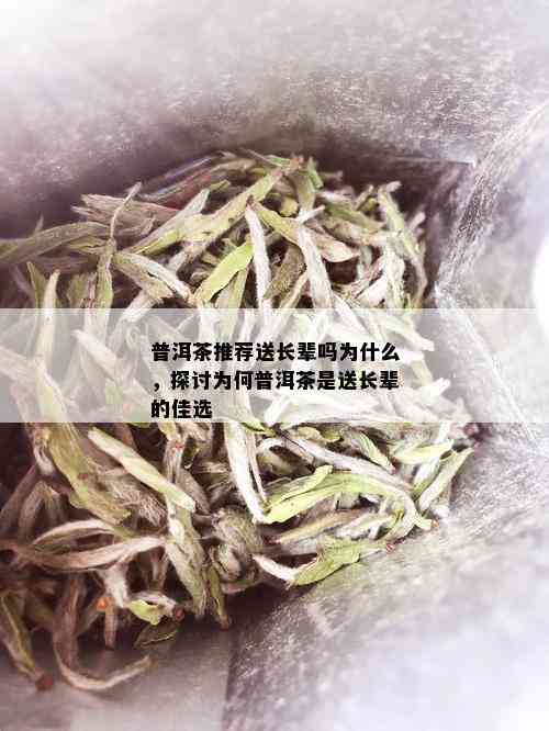 普洱茶推荐送长辈吗为什么，探讨为何普洱茶是送长辈的佳选