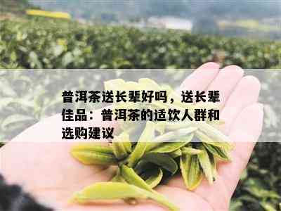 普洱茶送长辈好吗，送长辈佳品：普洱茶的适饮人群和选购建议