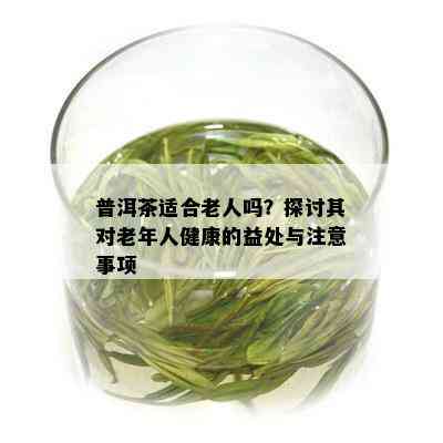 普洱茶适合老人吗？探讨其对老年人健康的益处与注意事项