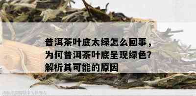 普洱茶叶底太绿怎么回事，为何普洱茶叶底呈现绿色？解析其可能的原因