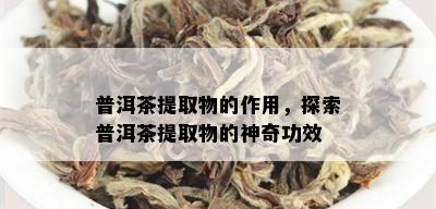 普洱茶提取物的作用，探索普洱茶提取物的神奇功效