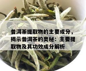 普洱茶提取物的主要成分，揭示普洱茶的奥秘：主要提取物及其功效成分解析