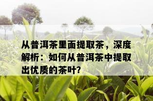 从普洱茶里面提取茶，深度解析：如何从普洱茶中提取出优质的茶叶？