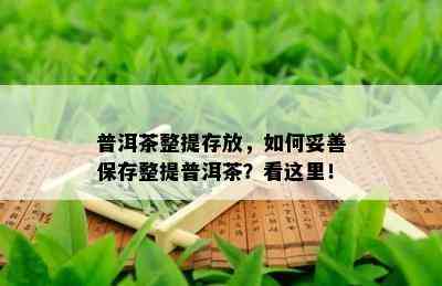 普洱茶整提存放，如何妥善保存整提普洱茶？看这里！