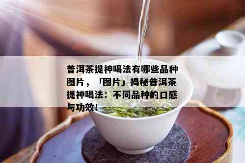 普洱茶提神喝法有哪些品种图片，「图片」揭秘普洱茶提神喝法：不同品种的口感与功效！