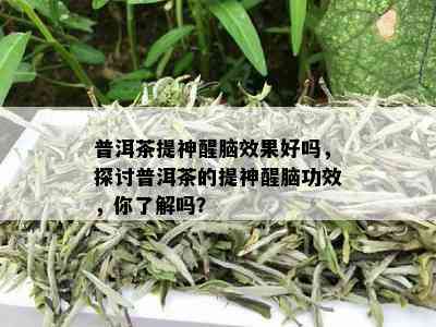 普洱茶提神醒脑效果好吗，探讨普洱茶的提神醒脑功效，你了解吗？