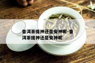 普洱茶提神还是安神呢-普洱茶提神还是安神呢