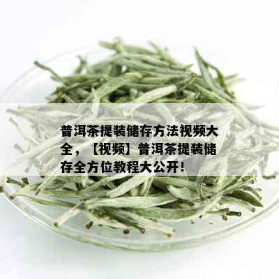 普洱茶提装储存方法视频大全，【视频】普洱茶提装储存全方位教程大公开！