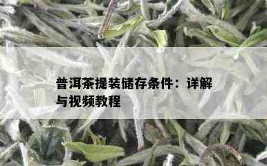 普洱茶提装储存条件：详解与视频教程