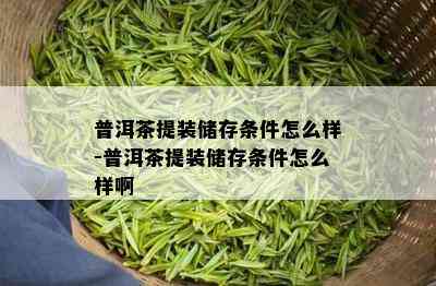 普洱茶提装储存条件怎么样-普洱茶提装储存条件怎么样啊