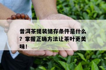 普洱茶提装储存条件是什么？掌握正确方法让茶叶更美味！