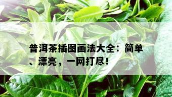 普洱茶插图画法大全：简单、漂亮，一网打尽！