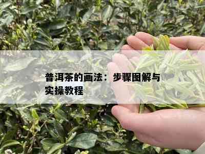 普洱茶的画法：步骤图解与实操教程