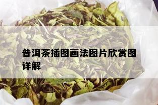 普洱茶插图画法图片欣赏图详解