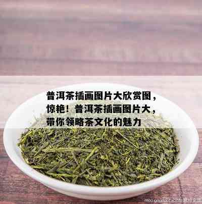 普洱茶插画图片大欣赏图，惊艳！普洱茶插画图片大，带你领略茶文化的魅力