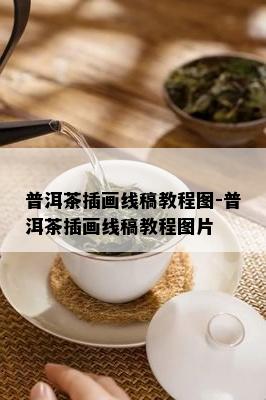 普洱茶插画线稿教程图-普洱茶插画线稿教程图片