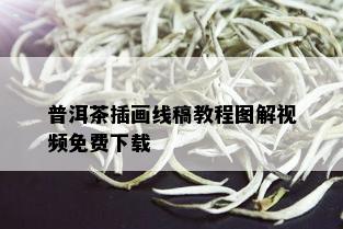 普洱茶插画线稿教程图解视频免费下载