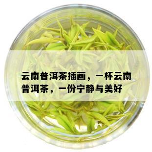 云南普洱茶插画，一杯云南普洱茶，一份宁静与美好