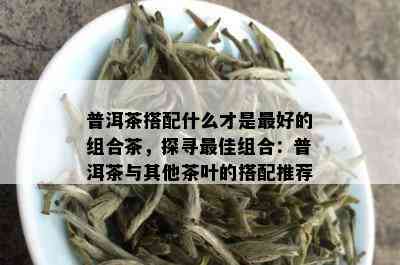 普洱茶搭配什么才是更好的组合茶，探寻更佳组合：普洱茶与其他茶叶的搭配推荐