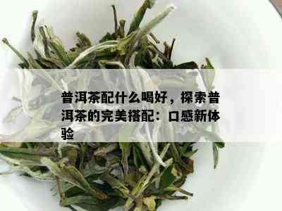 普洱茶配什么喝好，探索普洱茶的完美搭配：口感新体验