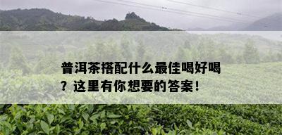 普洱茶搭配什么更佳喝好喝？这里有你想要的答案！