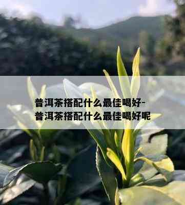 普洱茶搭配什么更佳喝好-普洱茶搭配什么更佳喝好呢