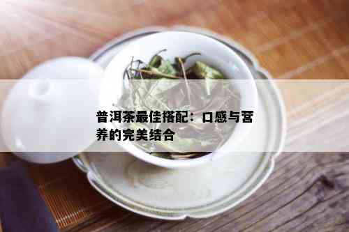 普洱茶更佳搭配：口感与营养的完美结合