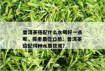 普洱茶搭配什么水喝好一点呢，探索更佳口感：普洱茶应配何种水质饮用？