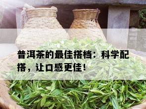 普洱茶的更佳搭档：科学配搭，让口感更佳！