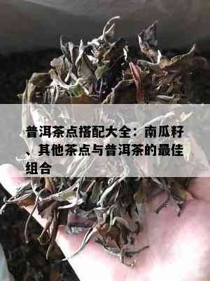 普洱茶点搭配大全：南瓜籽、其他茶点与普洱茶的更佳组合