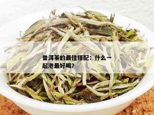 普洱茶的更佳搭配：什么一起泡更好喝？