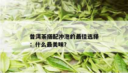 普洱茶搭配冲泡的更佳选择：什么最美味？