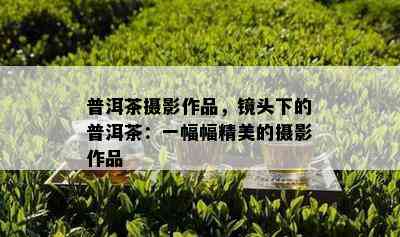 普洱茶摄影作品，镜头下的普洱茶：一幅幅精美的摄影作品