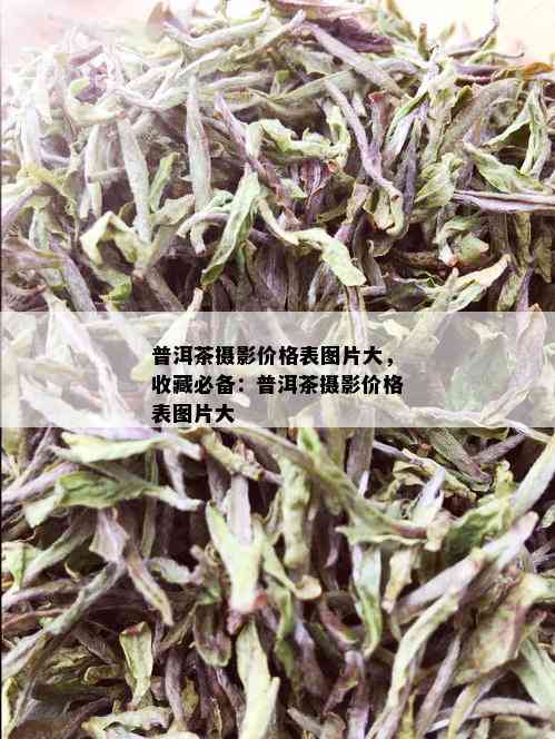 普洱茶摄影价格表图片大，收藏必备：普洱茶摄影价格表图片大