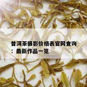 普洱茶摄影价格表官网查询：最新作品一览