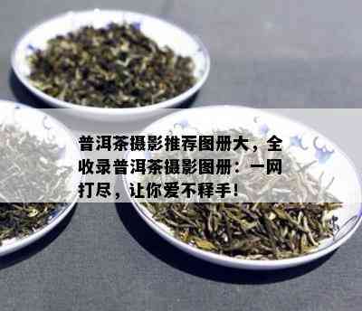 普洱茶摄影推荐图册大，全收录普洱茶摄影图册：一网打尽，让你爱不释手！