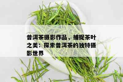 普洱茶摄影作品，捕捉茶叶之美：探索普洱茶的独特摄影世界