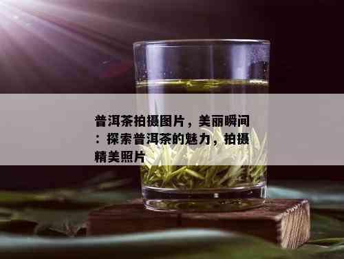 普洱茶拍摄图片，美丽瞬间：探索普洱茶的魅力，拍摄精美照片