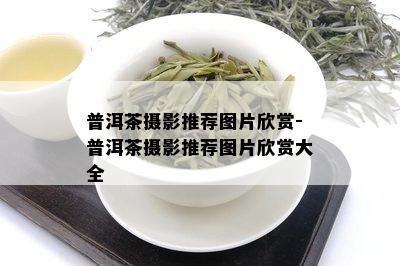 普洱茶摄影推荐图片欣赏-普洱茶摄影推荐图片欣赏大全