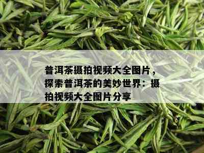 普洱茶摄拍视频大全图片，探索普洱茶的美妙世界：摄拍视频大全图片分享