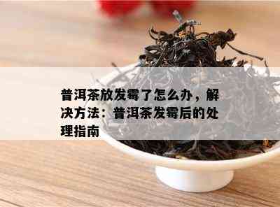 普洱茶放发霉了怎么办，解决方法：普洱茶发霉后的处理指南