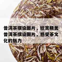 普洱茶摆设图片，欣赏精美普洱茶摆设图片，感受茶文化的魅力