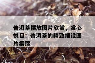 普洱茶摆放图片欣赏，赏心悦目：普洱茶的精致摆设图片集锦