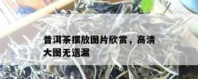 普洱茶摆放图片欣赏，高清大图无遗漏