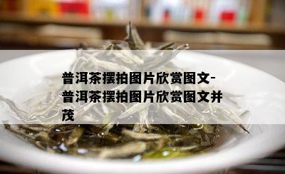 普洱茶摆拍图片欣赏图文-普洱茶摆拍图片欣赏图文并茂